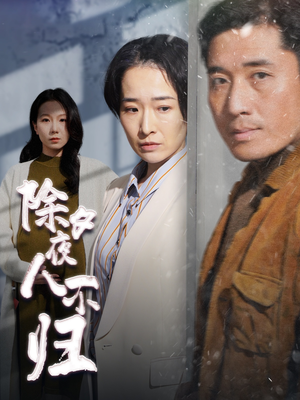 除夕夜人不归（47集）在线看免费版