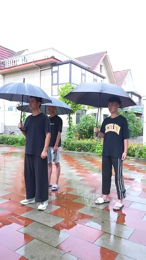 御车侠影（89集）精彩短剧天天看