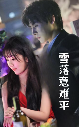 雪落意难平（35集）精彩短剧下载