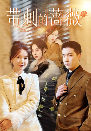 带刺的蔷薇（50集）短剧解说热门