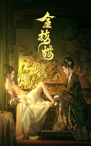 金枝楼（52集）全集完整版