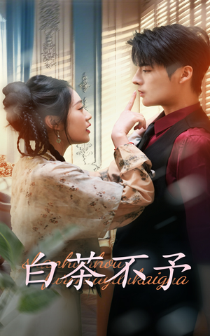 白茶不予（68集）精彩短剧抢先看