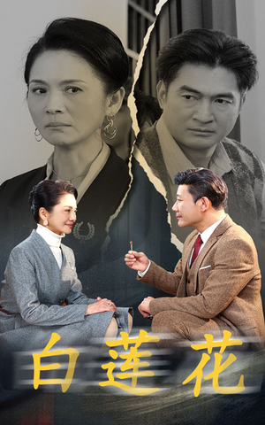 白莲花（40集）全集免费