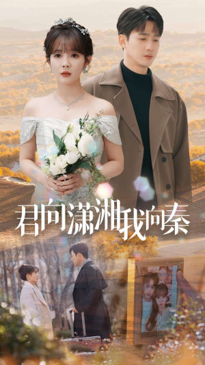 君向潇湘我向秦（30集）红果免费看短剧