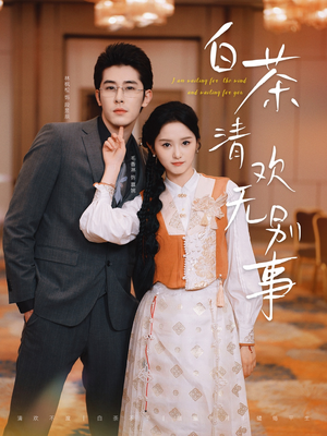 白茶清欢无别事（66集）红果短剧看全集