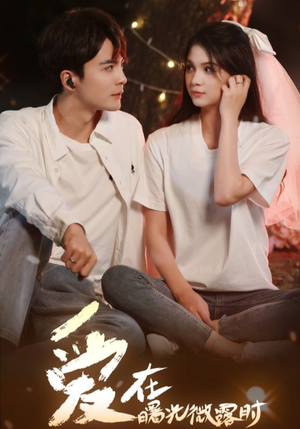 爱在曙光微露时（49集）在线看到大结局