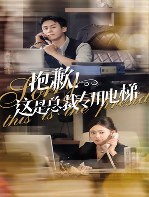 抱歉！这是总裁专用电梯（60集）最火爆短剧