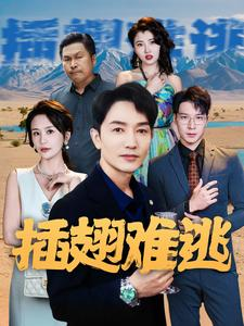 插翅难逃（43集）精彩短剧来袭