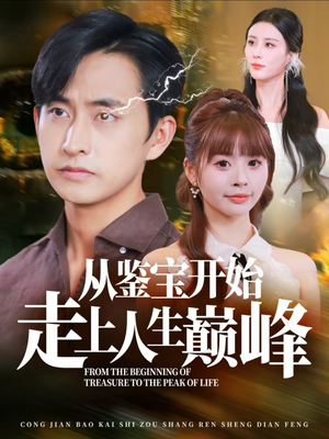 从鉴宝开始走上人生巅峰（80集）在线看到大结局