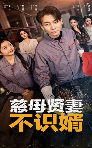 慈母贤妻不识婿（45集）无需充值尽情看