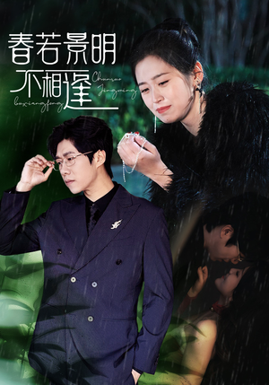 春若景明不相逢（50集）在哪个平台看好