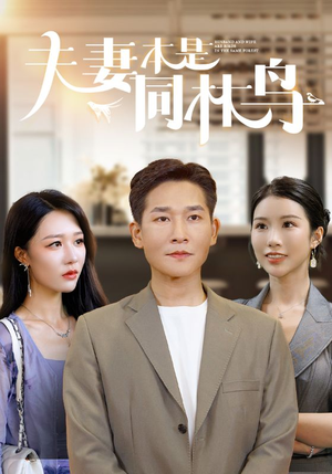 夫妻本是同林鸟（76集）最新火爆短剧