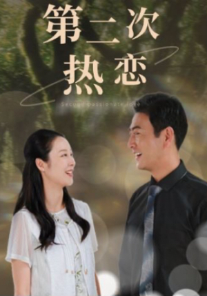 第二次热恋（48集）热门短剧又来了