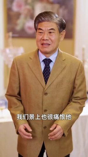 大恩以婚相报（50集）超甜短剧抢先看