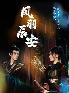 凤羽辰安（100集）1-102集