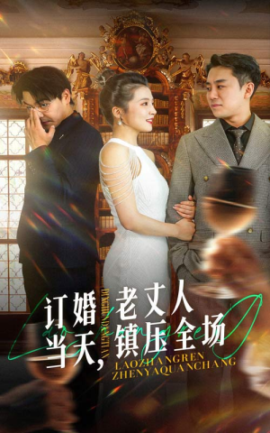 订婚当天，老丈人镇压全场（29集）最火短剧热播