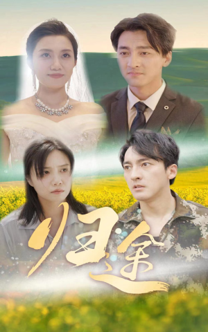 归途（52集）最火短剧热播中