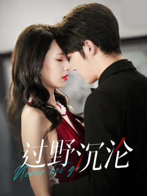 过野沉沦(100集) 过野沉沦(100集)在线观看