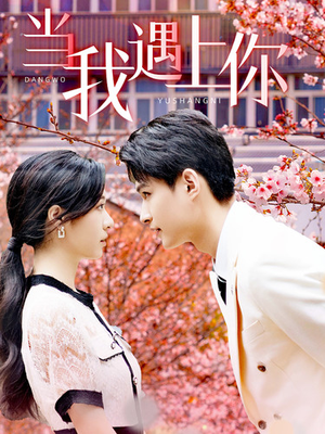 当我遇上你（100集）在线播放