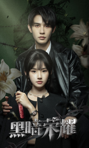 黑暗荣耀（66集）热播短剧推荐