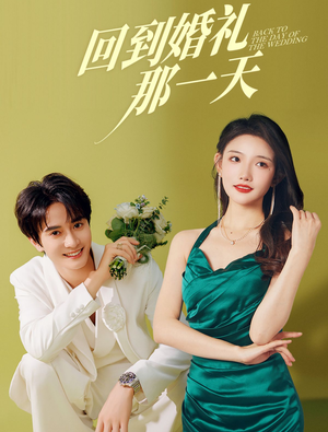 回到婚礼那一天（88集）在线看完整版