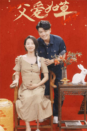 父爱如草（31集）精彩短剧天天看