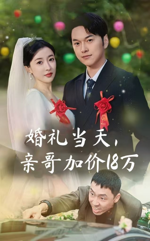 婚礼当天，亲哥加价18万（36集）好看的短剧