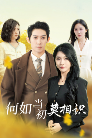 何如当初莫相识（36集）在哪个app能看