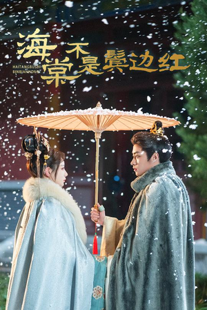 人生若只如初见（30集）短剧越看越精彩