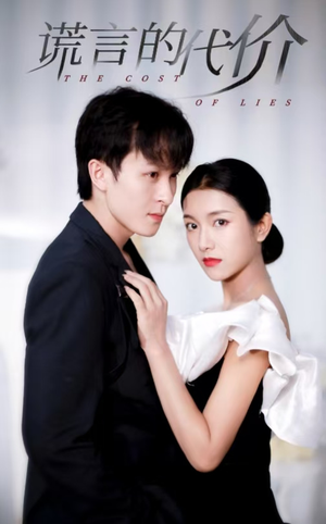 谎言的代价（30集）常回家看看短剧
