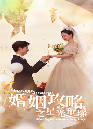 婚姻攻略之星光璀璨(32集) 婚姻攻略之星光璀璨(32集)百度网盘资源