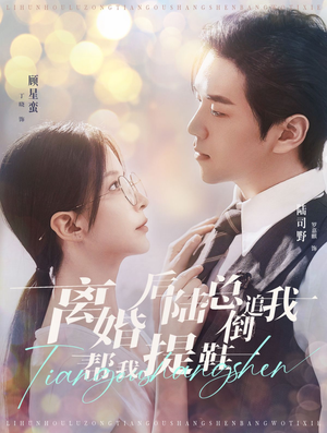 离婚后陆总倒追我帮我提鞋（100集）短剧热门分享