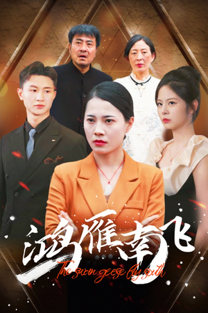 鸿雁南飞（64集）好看吗