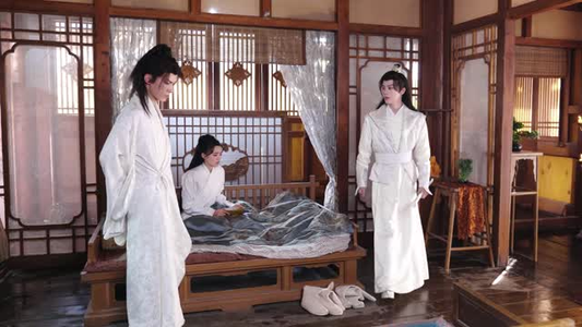 恋恋花颜御捕（25集）在线观看全集