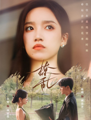 撩乱（65集）短剧免费看全集