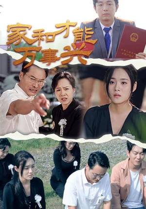 家和才能万事兴（30集）海量资源免费看