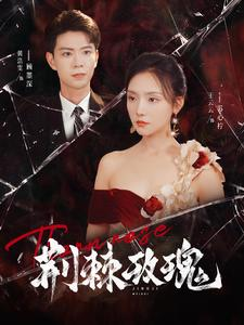 荆棘玫瑰（100集）口碑之选免费看