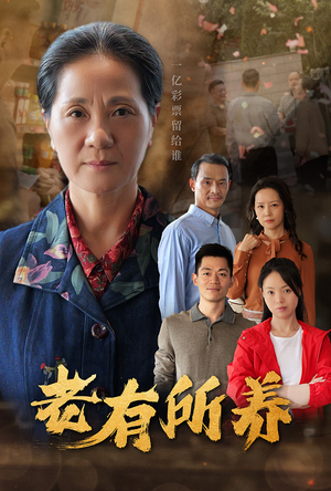 老有所养（35集）1-102集