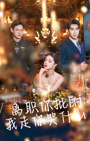 离职你批的，我走你哭什么（30集）最新火爆短剧