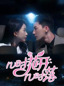 几时花开几时落（66集）百度网盘在线看