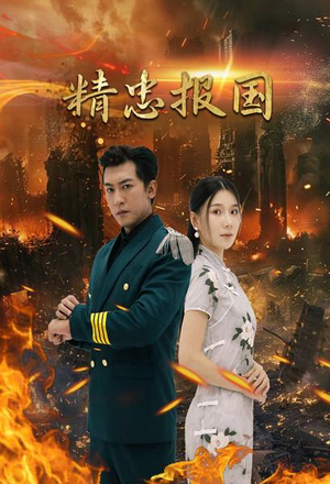 精忠报国（61集）热门火爆短剧