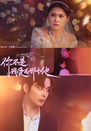 你不是我爱的那个他（54集）热播短剧排行榜