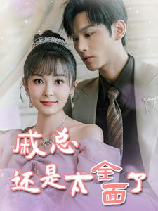 戚总今天追到夫人了么（57集）全季一次看完