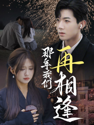 那年我们再相逢（65集）短剧免费看