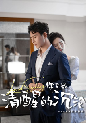 你是我清醒的沉沦（48集）免费观看完整版