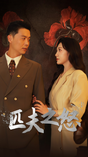 匹夫之怒（48集）短剧热门合集