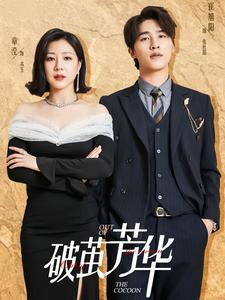 破茧芳华（80集）热播短剧来袭