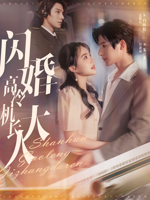 闪婚高冷机长大人（92集）短剧免费看