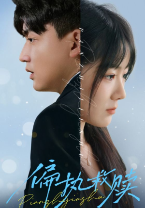 偏执救赎（30集）第一季