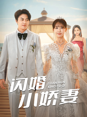 闪婚小娇妻（102集）在线免费观影